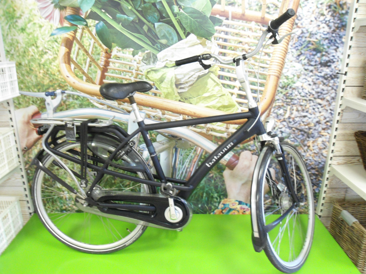 Batavus Mambo